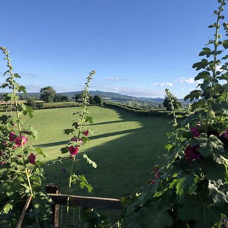 Betula Views Studio Newent Luaran gambar