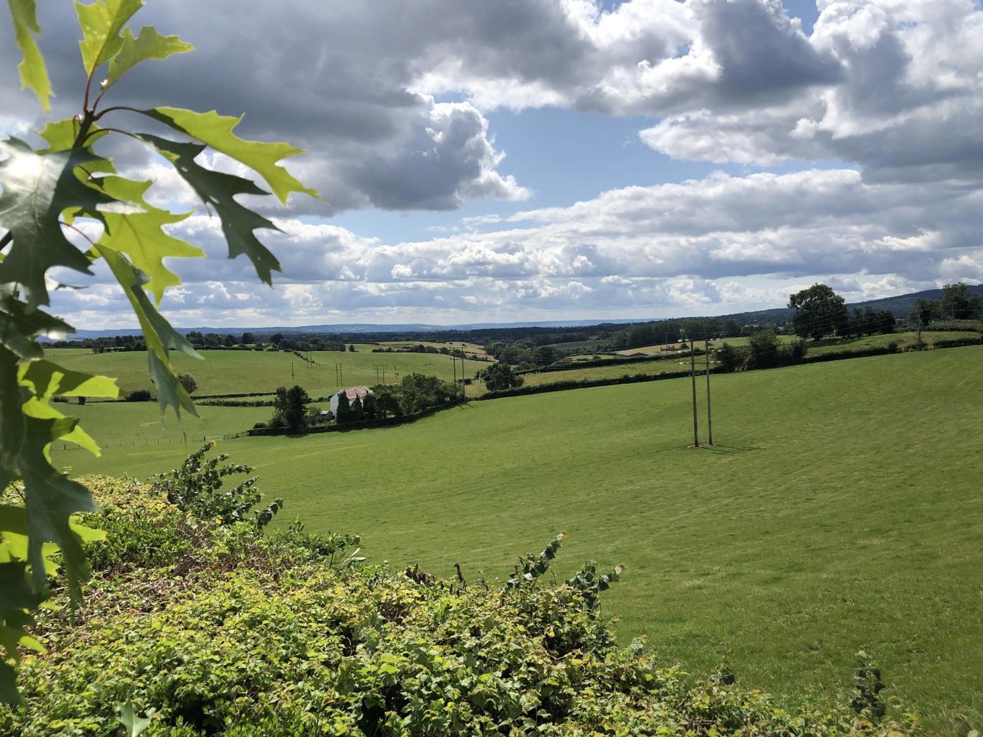 Betula Views Studio Newent Luaran gambar