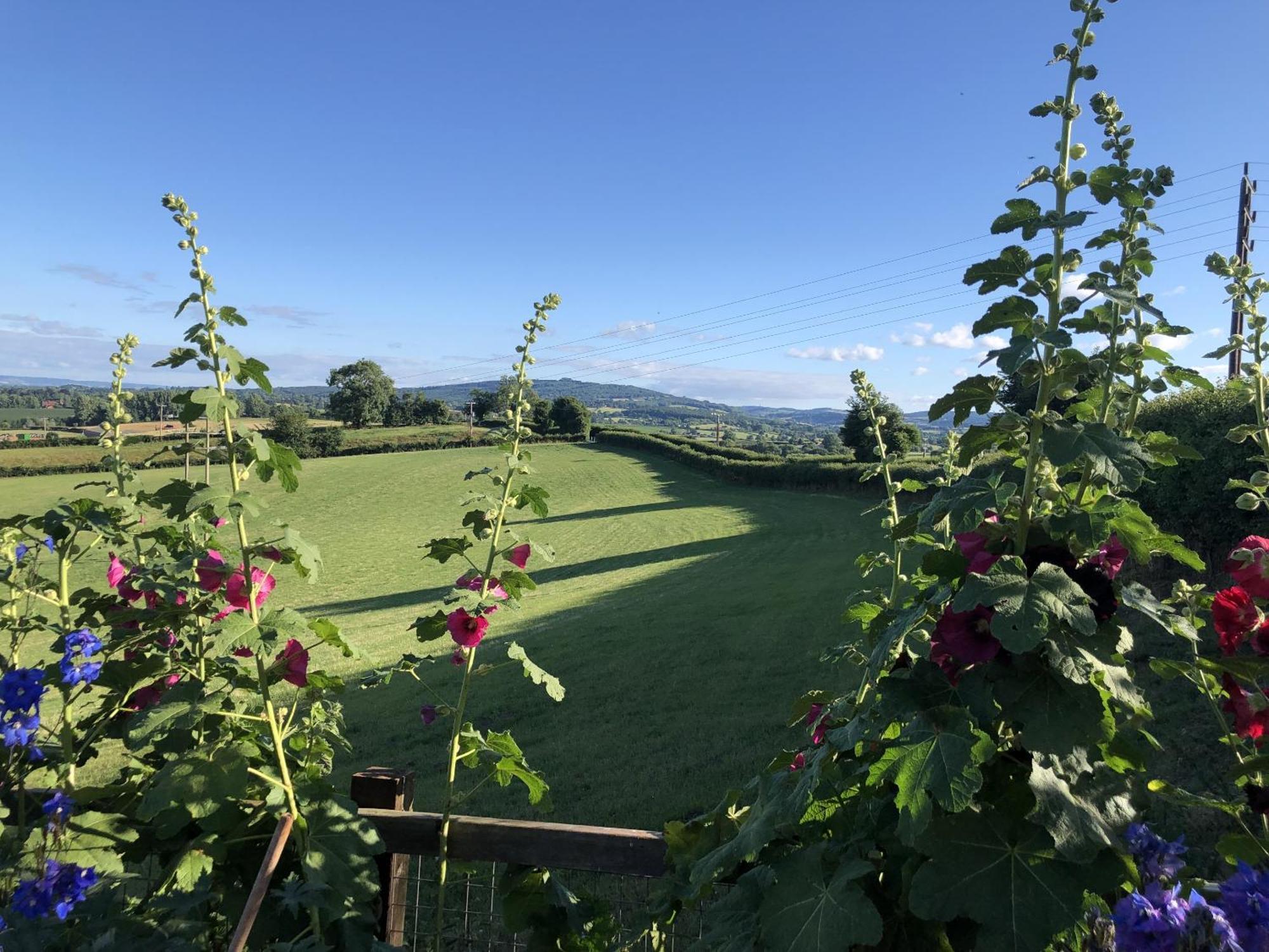 Betula Views Studio Newent Luaran gambar