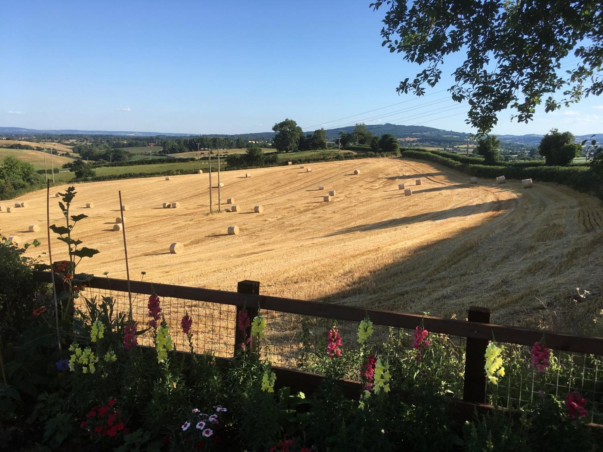 Betula Views Studio Newent Luaran gambar