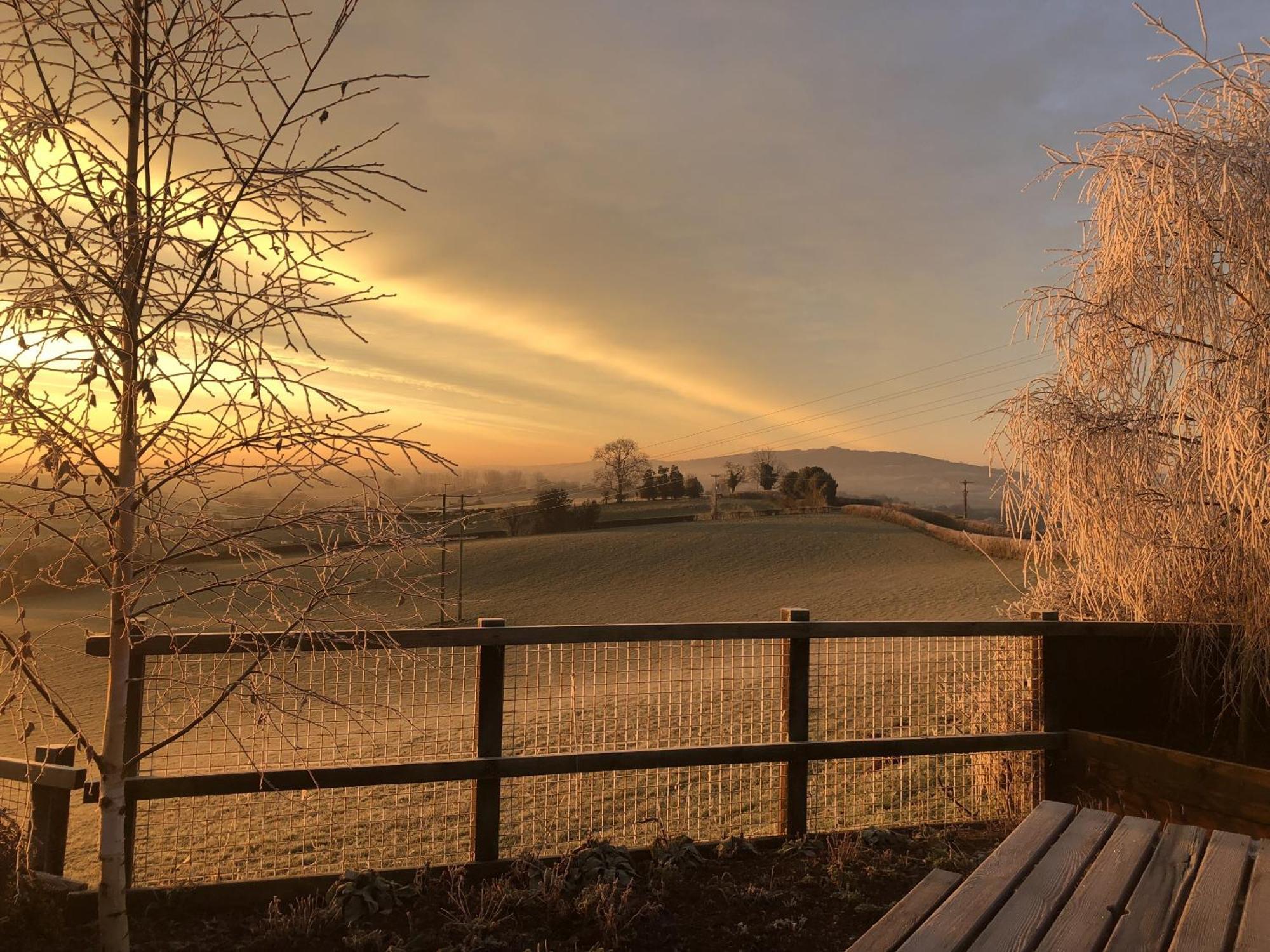 Betula Views Studio Newent Luaran gambar