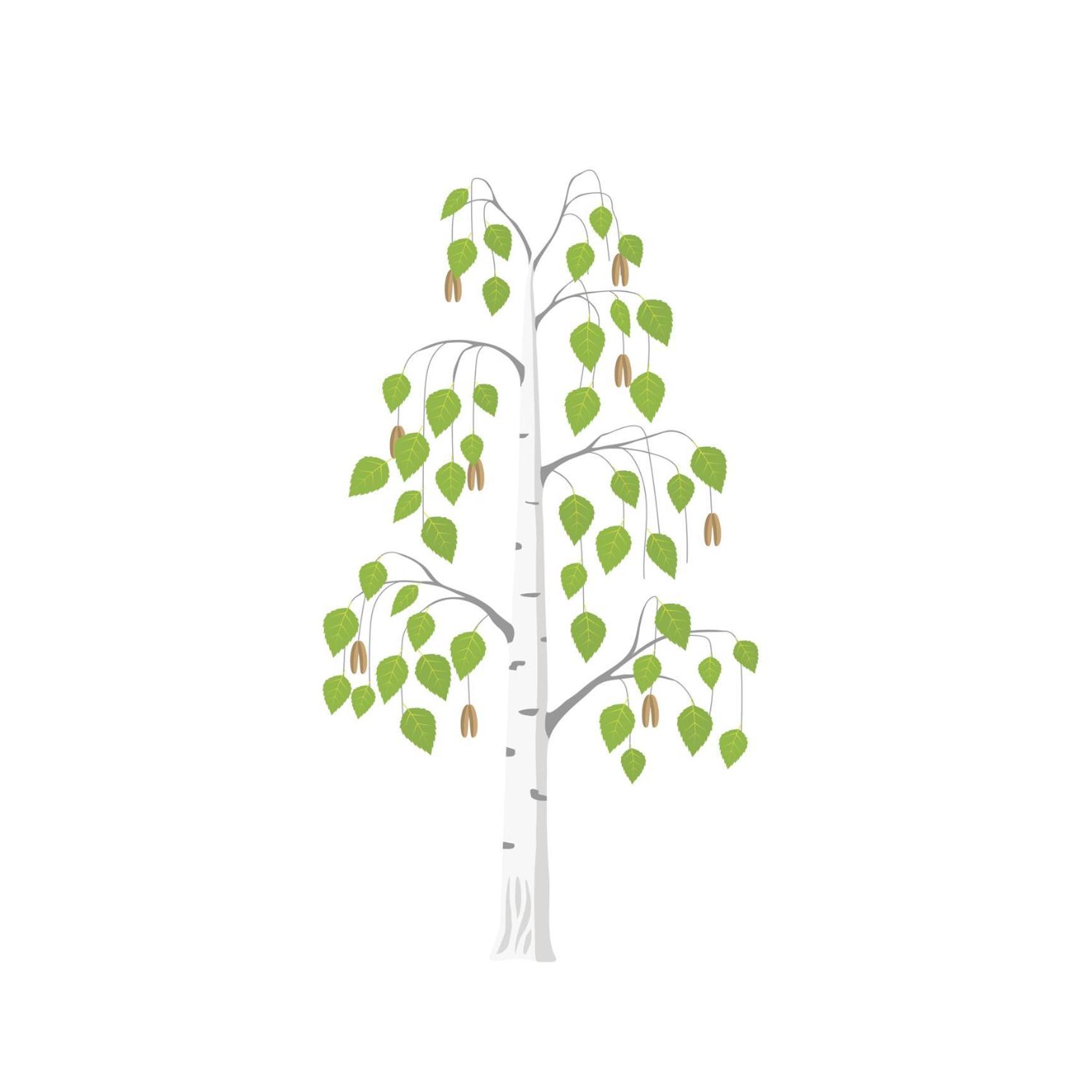 Betula Views Studio Newent Luaran gambar